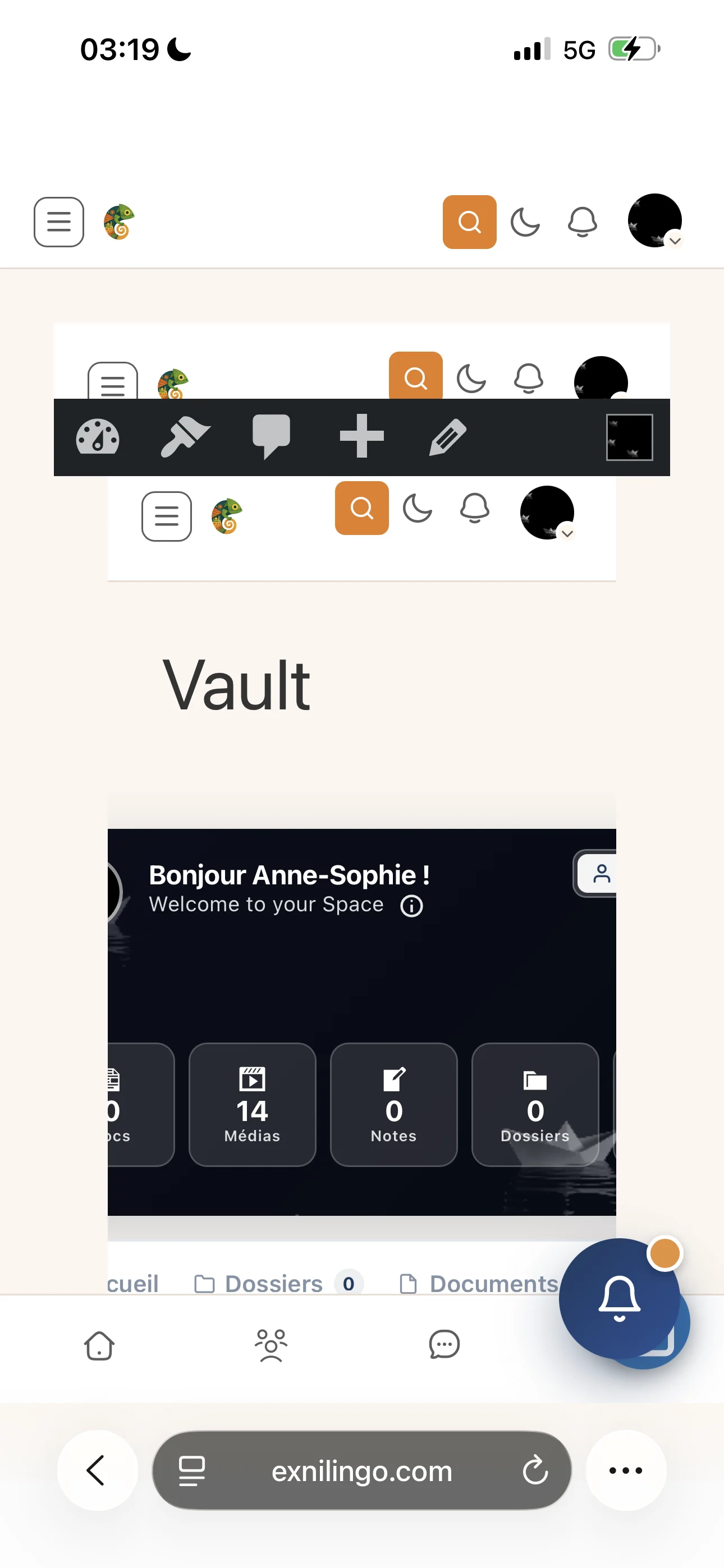 Phone rendering of the vault + question
